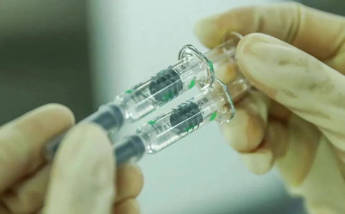 新冠病毒又双叒叕变异了 你最关心的问题都在这里