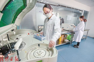 洛阳恒恩公司 自主研发高科技医用产品