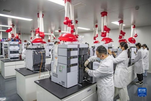 新华全媒 丨重庆永川 打造大健康产业集群 培育经济发展新动能