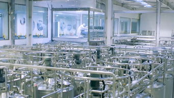 华工赛百助力国产乳品提升市场竞争力