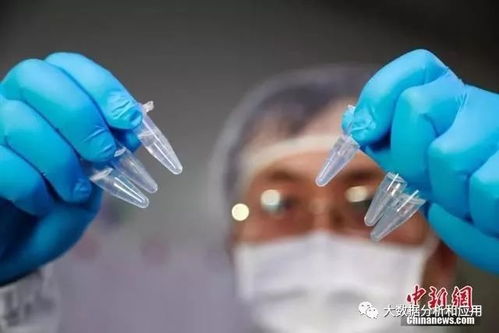 期待科学早日攻克疾病 显微镜下的新型冠状病毒