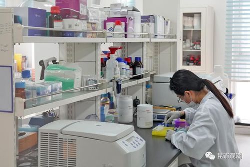 近10个新药预计陆续上市,烟台这家药企有点牛