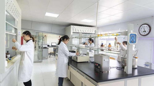 齐鲁股交企业培育的 苗圃 作用,助力企业发展
