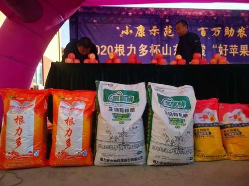 根力多 走中国 谁是苹果王 2020根力多杯山东栖霞 好苹果 争霸赛巅峰对决火热来袭