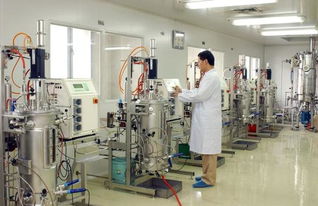 华北制药 做强生物药抢占产业制高点
