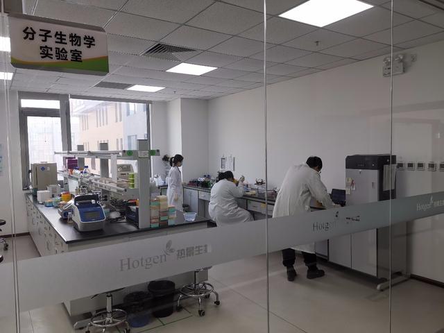 研发三款针检测试剂盒 大兴生物医药基地50家企业复工