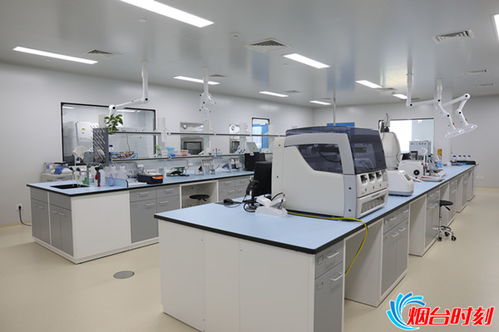 烟台业达孵化研发大楼正式启用 打造生物医药专业 梦工厂
