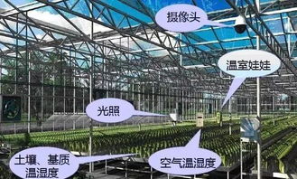 天啦噜 现代农业已经发展到这么震撼了吗 意赛格生物表示简直不敢相信
