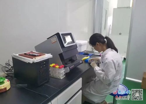 康可得生物科技 深耕技术研发 创新步履不停