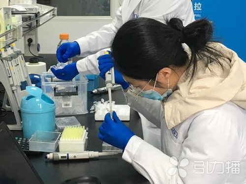 张家港迪亚莱博生物科技自主研发新冠病毒免疫测试卡 10分钟内锁定疑似病例