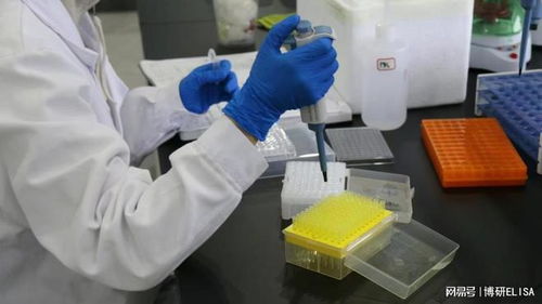 南京博研生物科技 了解科技新趋势
