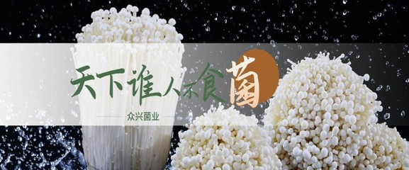 众兴菌业主要业务