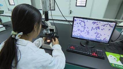 潍坊青州:强化产品研发 加速形成新质生产力