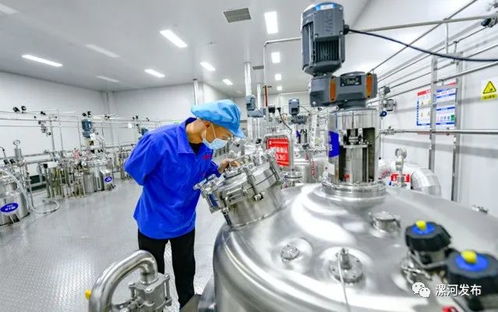 这两天,央媒 省媒纷纷关注漯河这件事