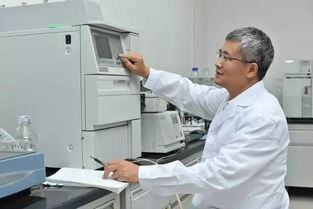 保时捷内饰设计师用玉米做了这个杯子