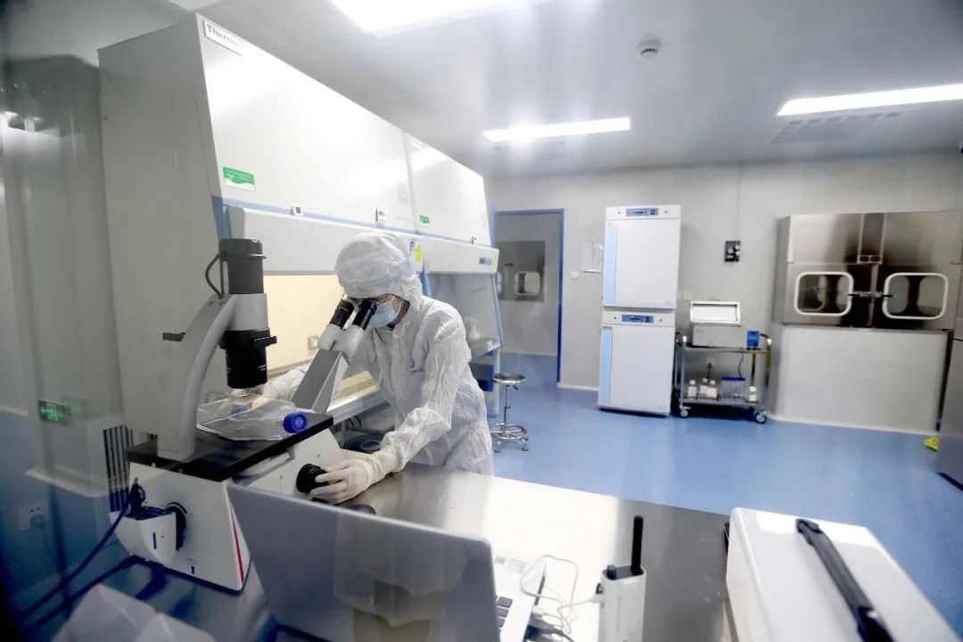 打通“资源链”、畅通“资金链”!上海(南翔)精准医学产业园按下复工复产“快进键”