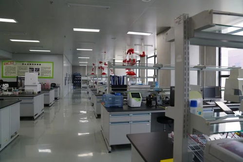 首发丨动植物分子育种技术研发商 博瑞迪生物 宣布完成千万级a轮融资