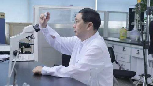 36氪首发 突破全分子量玻尿酸gaussian ha研发, 梅晔生物 获数亿元b轮融资