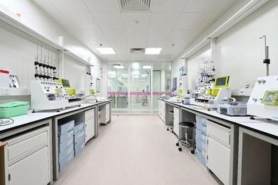 “创·在上海”的基因密码:产业聚能为引领,区域孵化新生态 | 产业孵化篇