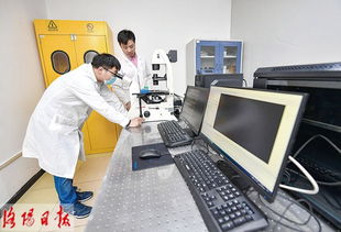 洛阳去年技术创新体系更加完善 科技产业融合更加紧密