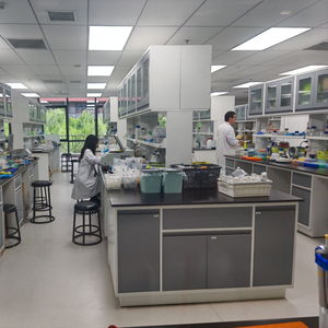 味道好 没热量的糖存在吗 北京这家生物制造企业已研发